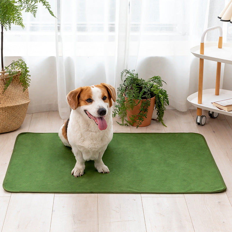Tapis pour animaux confortable et absorbant de couleur unie