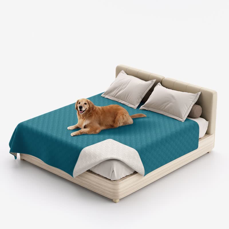 Tapis imperméable pour animaux de compagnie avec motif diamant uni