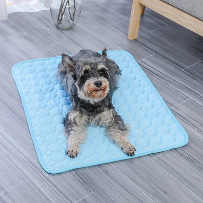 Tapis rafraîchissant d'été absorbant simple pour animaux de compagnie