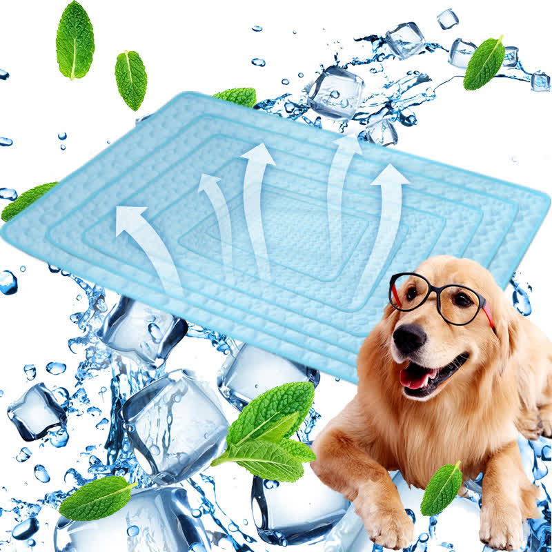 Tapis rafraîchissant d'été absorbant simple pour animaux de compagnie