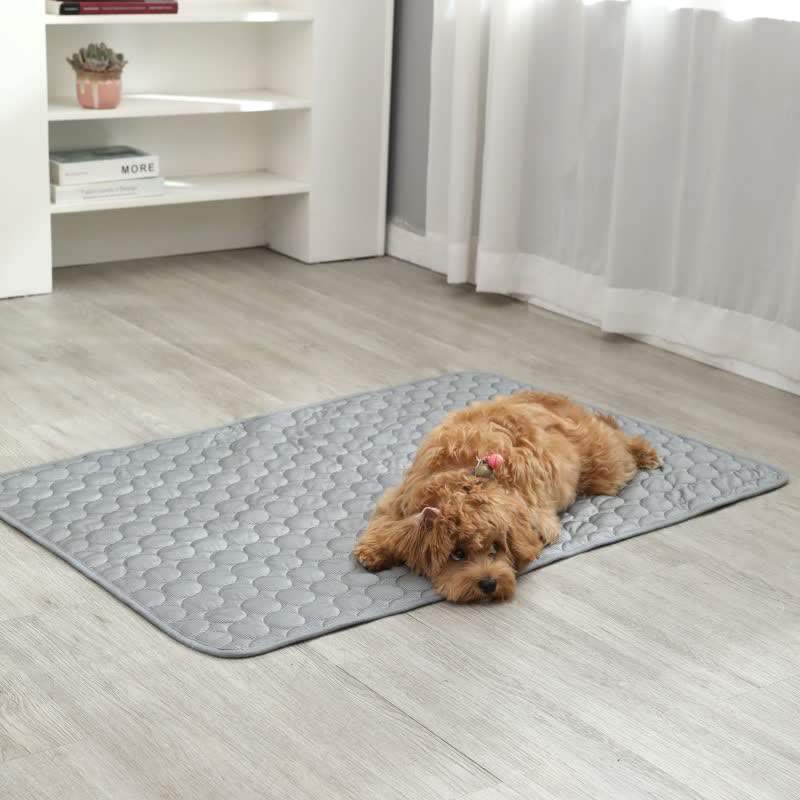 Tapis rafraîchissant d'été absorbant simple pour animaux de compagnie