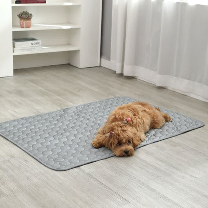 Tapis rafraîchissant d'été absorbant simple pour animaux de compagnie