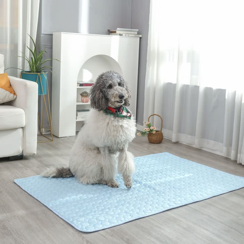 Tapis rafraîchissant d'été absorbant simple pour animaux de compagnie