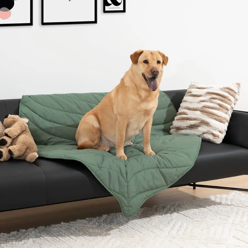 Tapis pour animaux doux et absorbant en forme de feuille créative