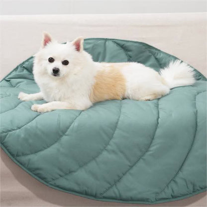 Tapis pour animaux doux et absorbant en forme de feuille créative