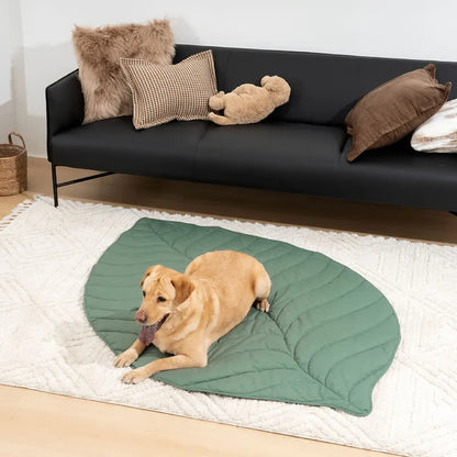 Tapis pour animaux doux et absorbant en forme de feuille créative