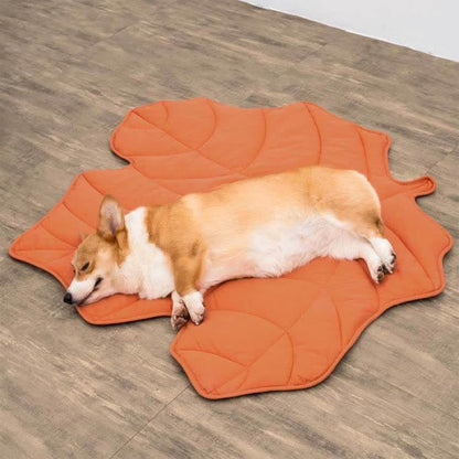 Tapis pour animaux doux et absorbant en forme de feuille créative