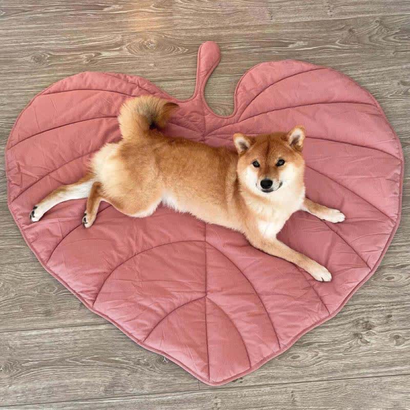 Tapis pour animaux doux et absorbant en forme de feuille créative