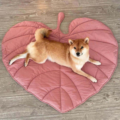 Tapis pour animaux doux et absorbant en forme de feuille créative