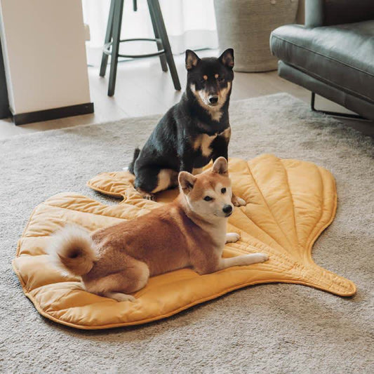 Tapis pour animaux doux et absorbant en forme de feuille créative