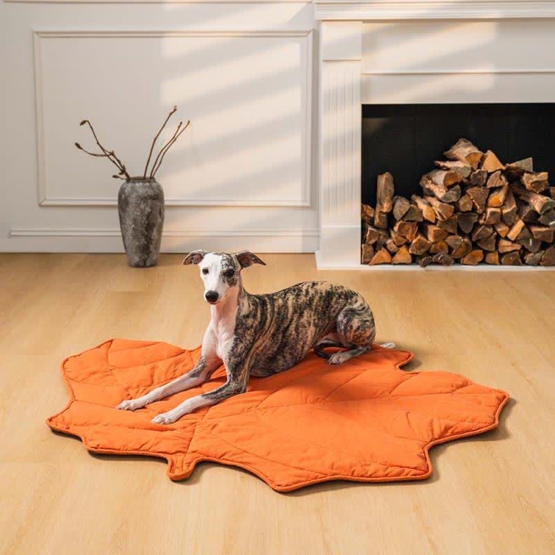 Tapis pour animaux doux et absorbant en forme de feuille créative