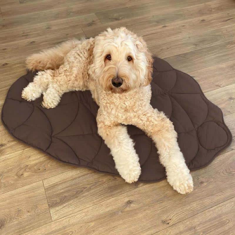 Tapis pour animaux doux et absorbant en forme de feuille créative