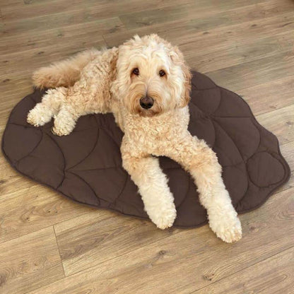 Tapis pour animaux doux et absorbant en forme de feuille créative