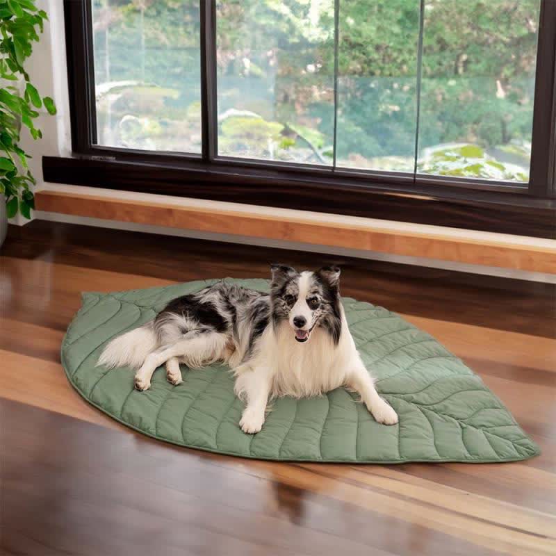 Tapis pour animaux doux et absorbant en forme de feuille créative