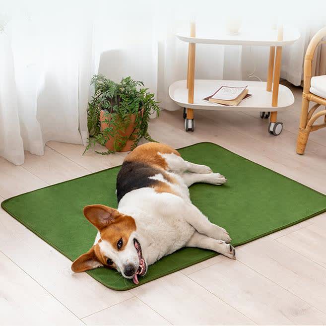 Tapis pour animaux confortable et absorbant de couleur unie