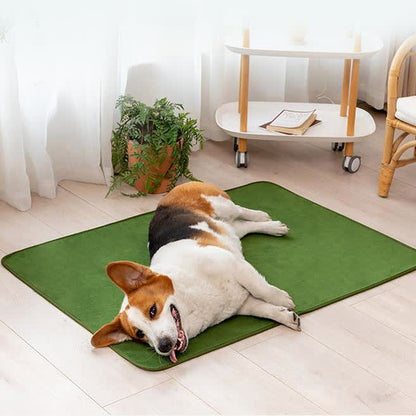 Tapis pour animaux confortable et absorbant de couleur unie