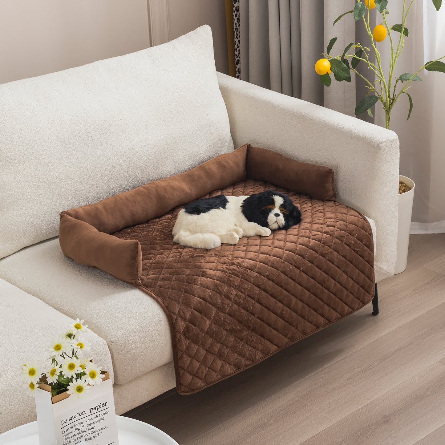 Housse de protection pour meubles pour animaux de compagnie avec tour de cou