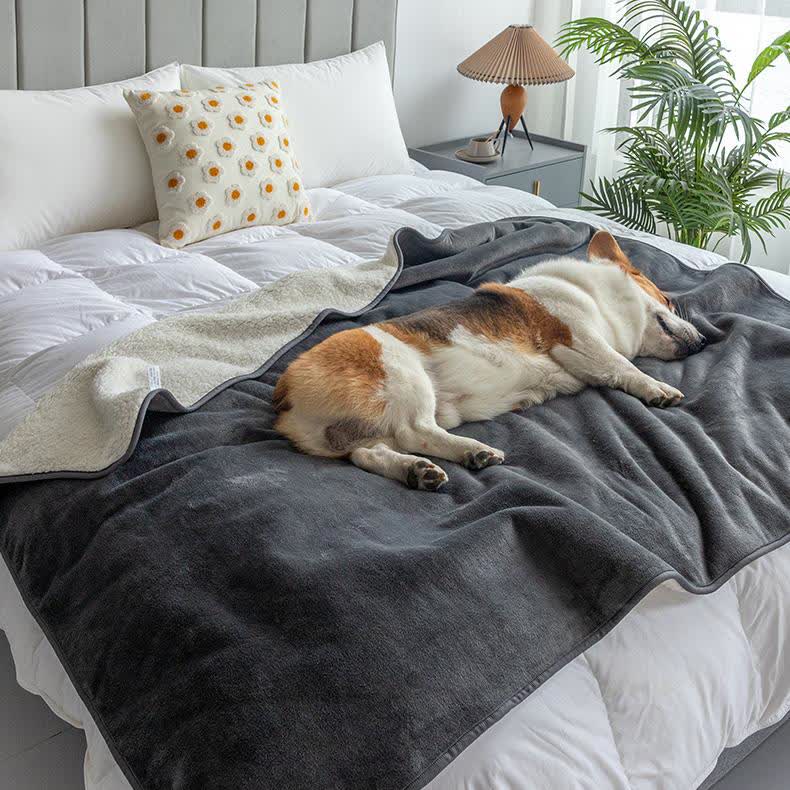 Couverture imperméable Sherpa pour animaux de compagnie