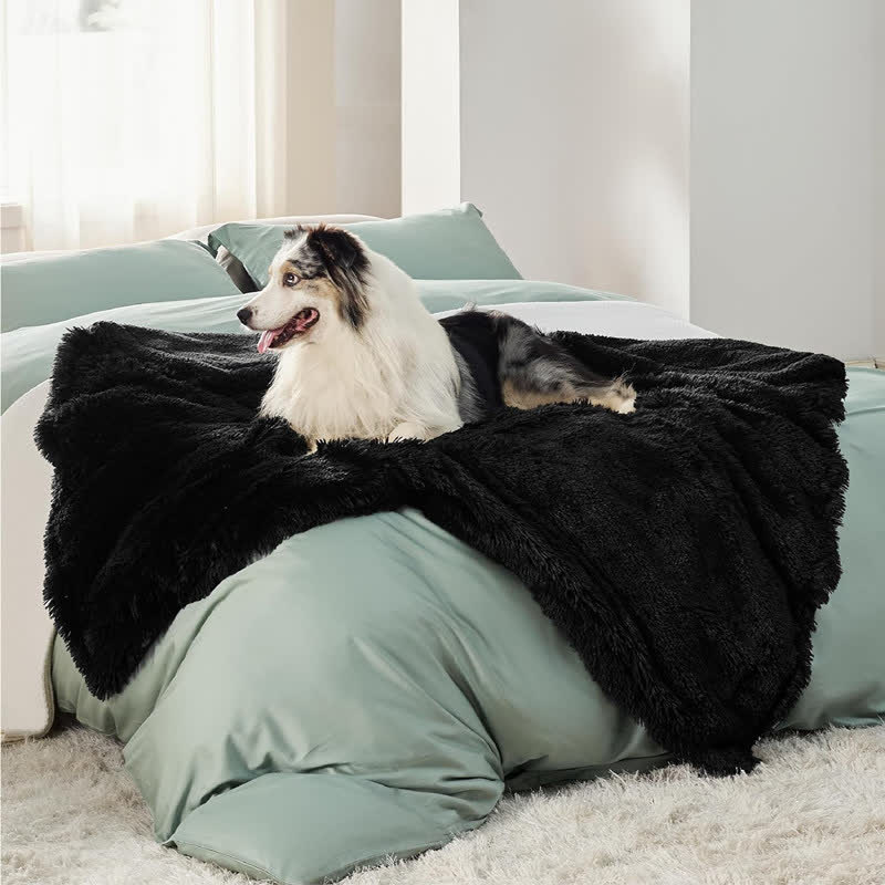 Couverture douce imperméable Sherpa pour animaux de compagnie