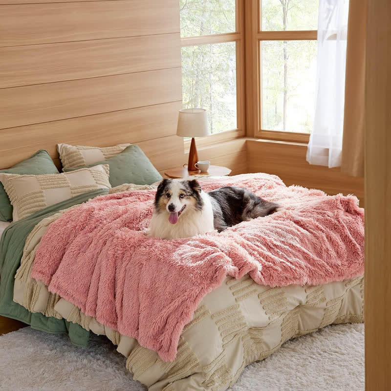 Couverture douce imperméable Sherpa pour animaux de compagnie