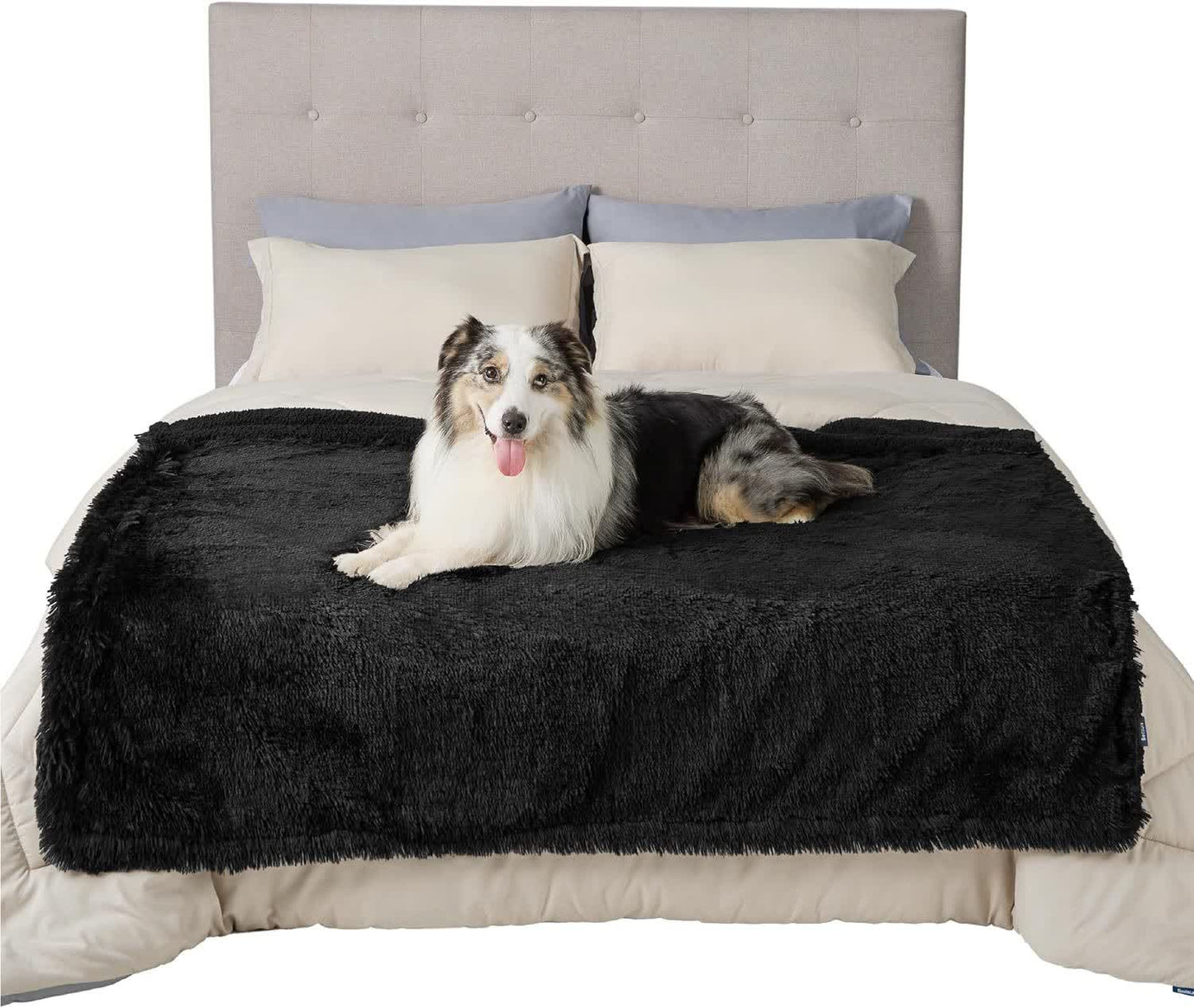Couverture douce imperméable Sherpa pour animaux de compagnie