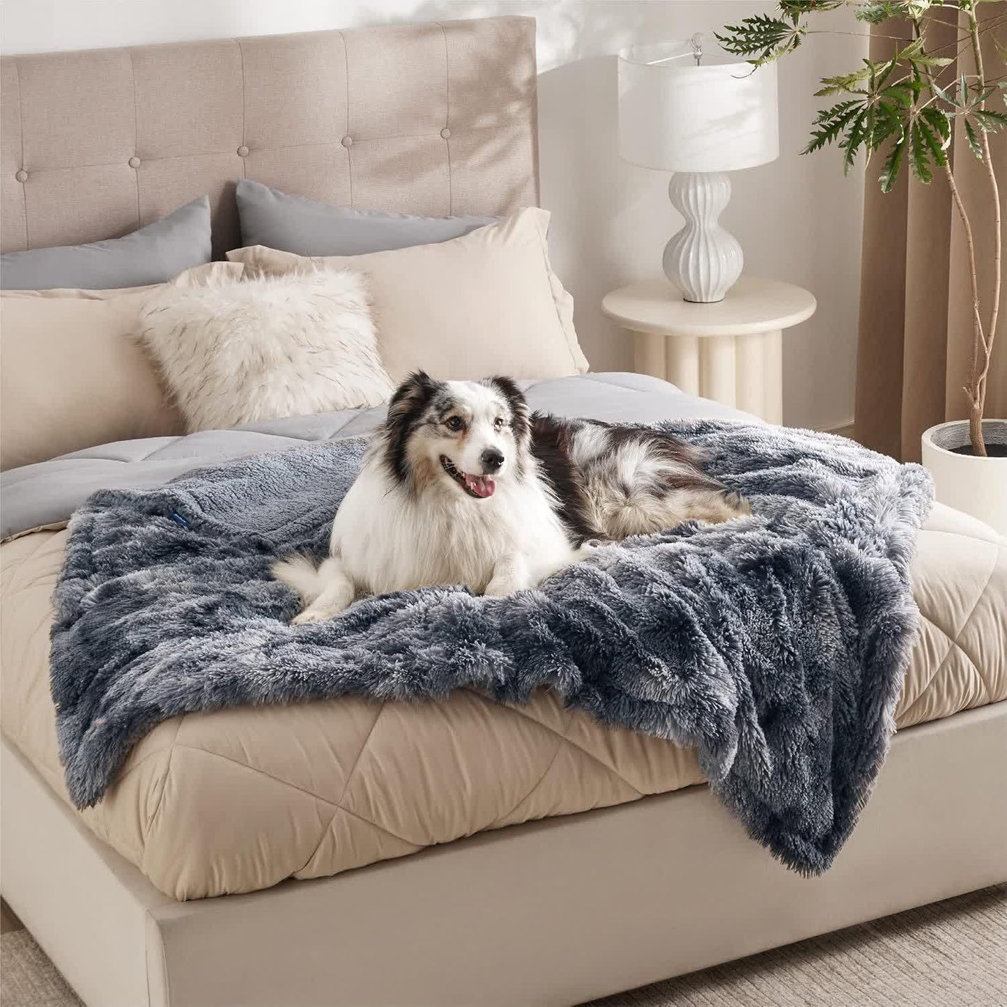 Couverture douce imperméable Sherpa pour animaux de compagnie
