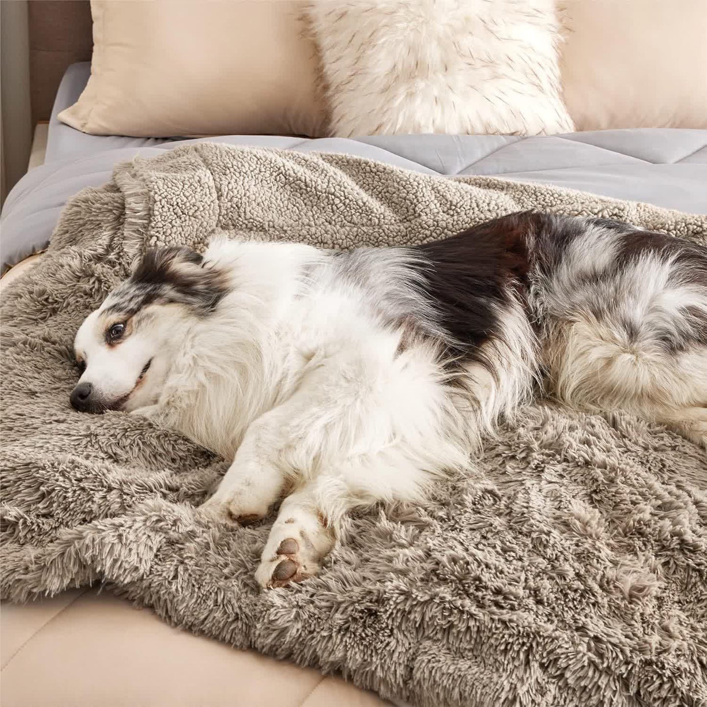 Couverture douce imperméable Sherpa pour animaux de compagnie