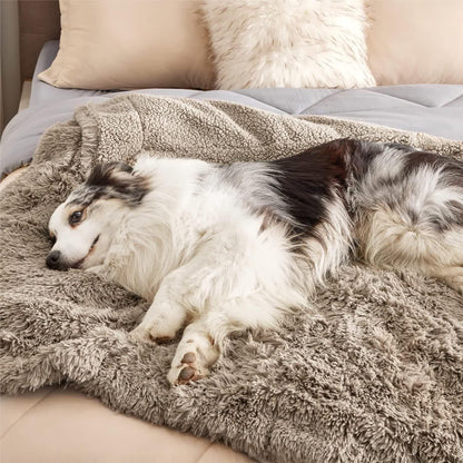 Couverture douce imperméable Sherpa pour animaux de compagnie