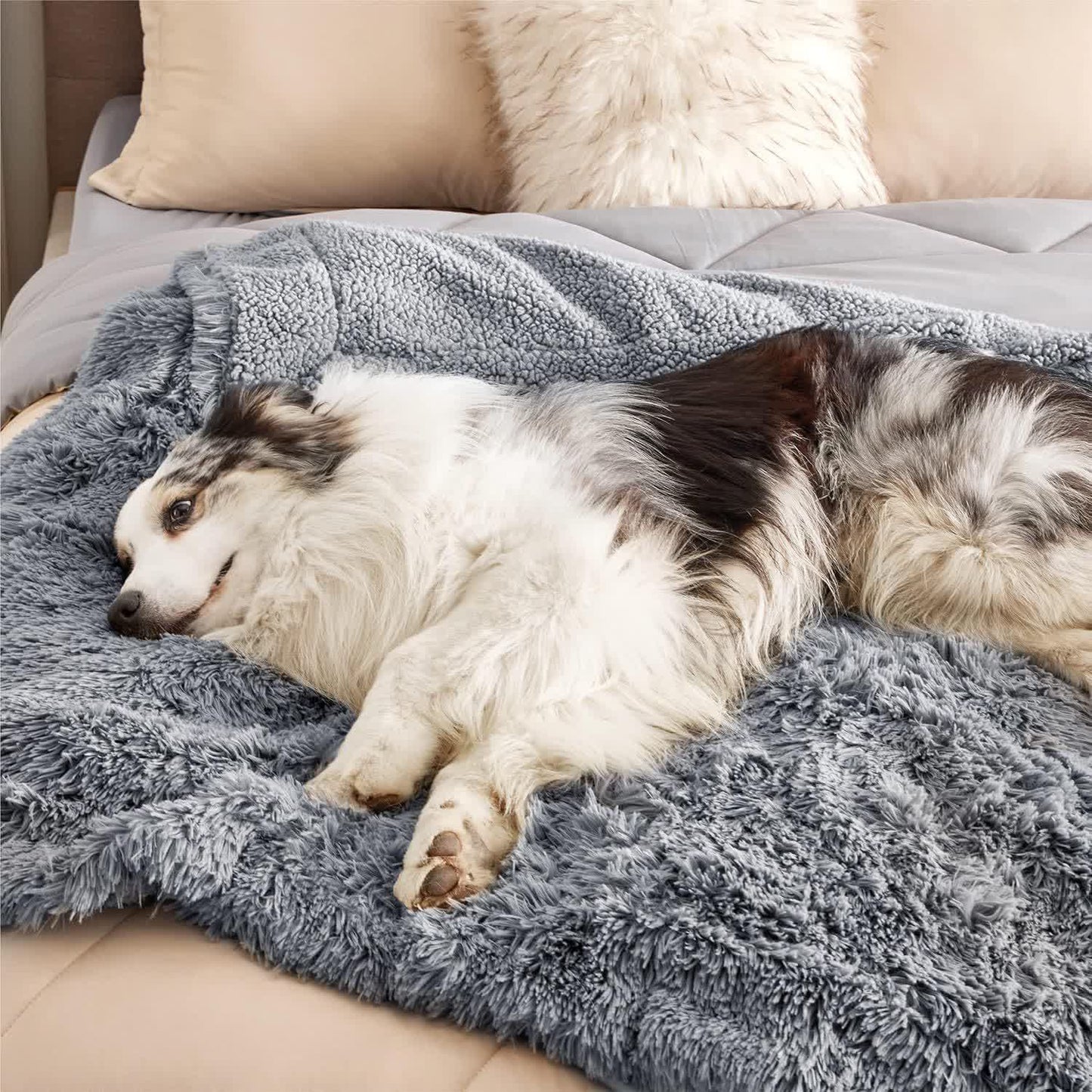 Couverture douce imperméable Sherpa pour animaux de compagnie