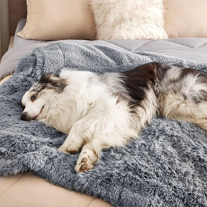 Couverture douce imperméable Sherpa pour animaux de compagnie