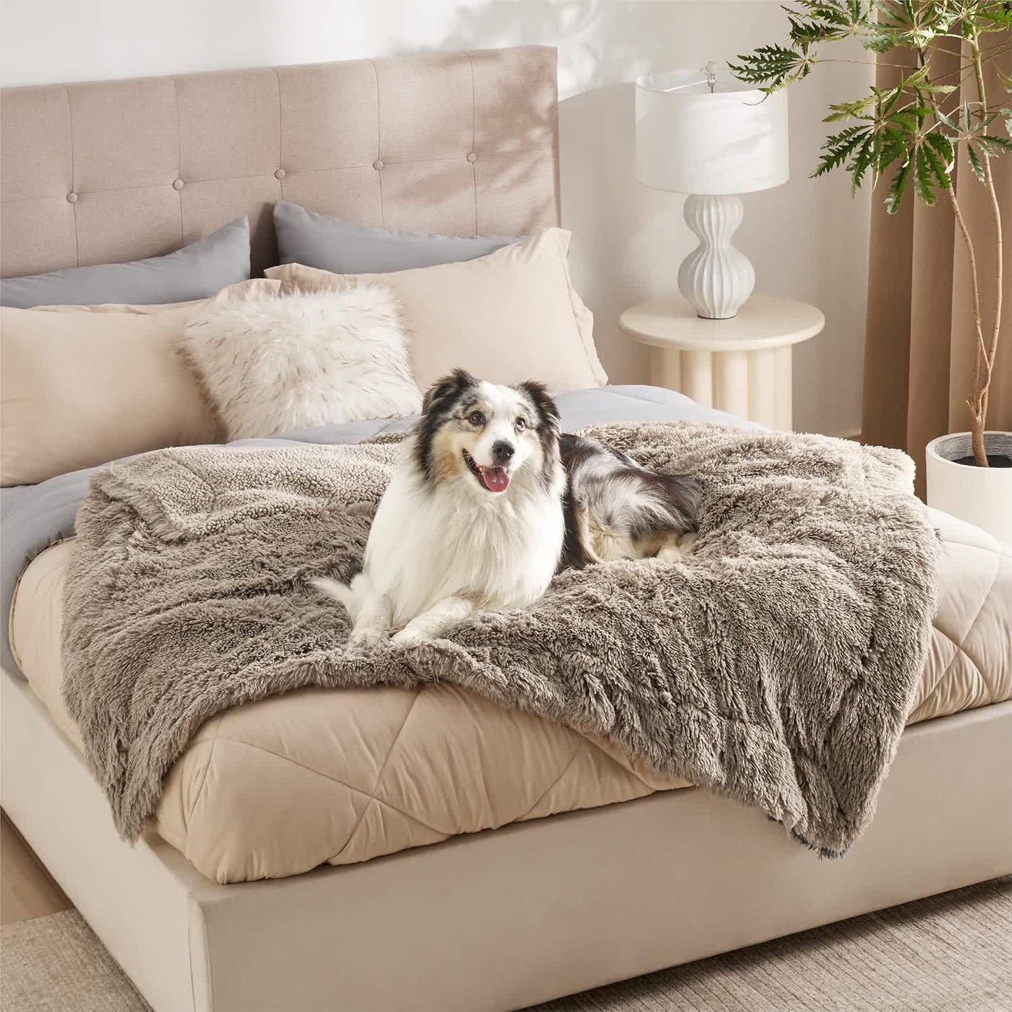Couverture douce imperméable Sherpa pour animaux de compagnie