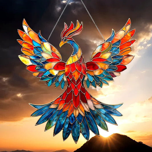 Tentures de fenêtre acryliques brillantes Firebird