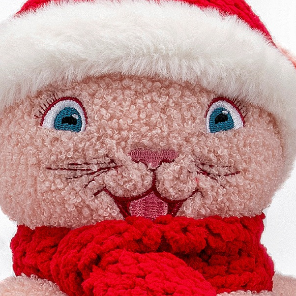 Panier pour animaux de compagnie en polaire douce et chaude de Noël