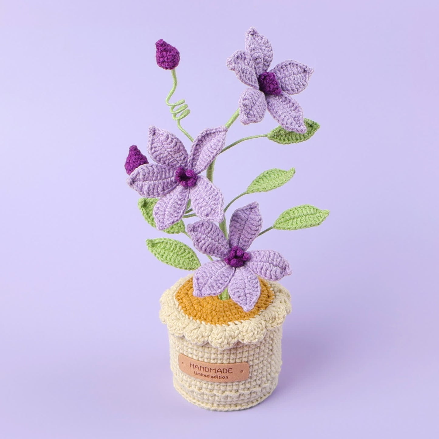 Ornement de fleurs tressées Clématite en pot
