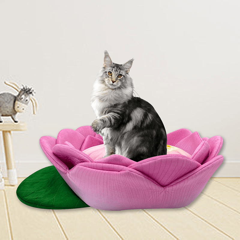 Lit pour animaux en polaire chaude en forme de lotus