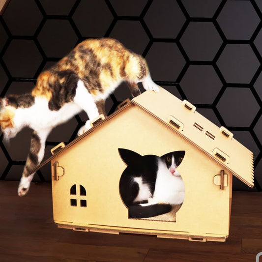 Maison pour animaux de compagnie étanche en carton ondulé