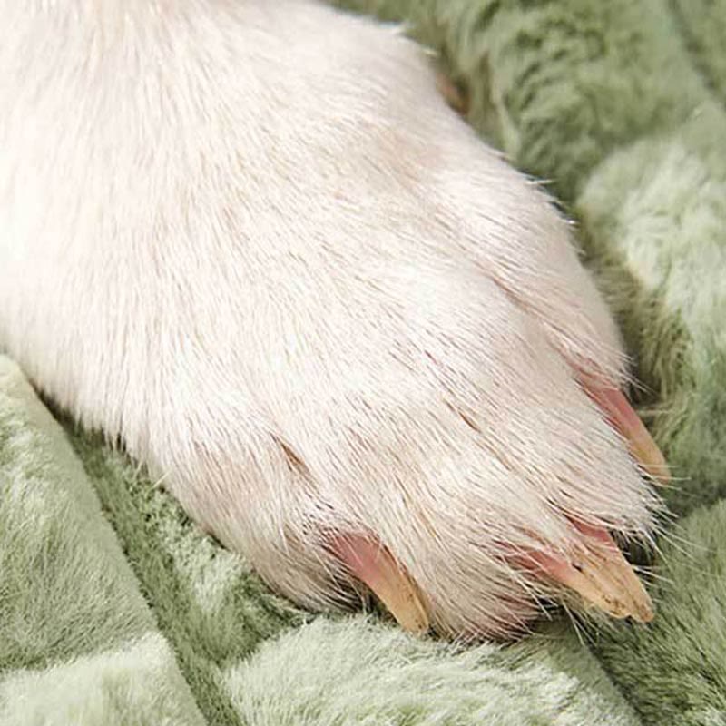 Coussin orthopédique amovible et lavable en peluche pour animaux de compagnie