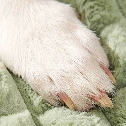 Coussin orthopédique amovible et lavable en peluche pour animaux de compagnie