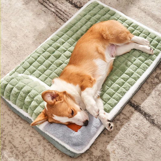 Coussin orthopédique amovible et lavable en peluche pour animaux de compagnie