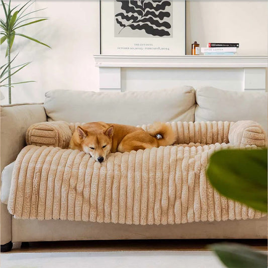 Housse de canapé moelleuse pour animaux de compagnie de couleur unie