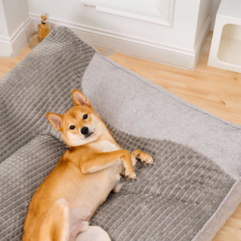 Coussin épais, chaud et durable pour animaux de compagnie