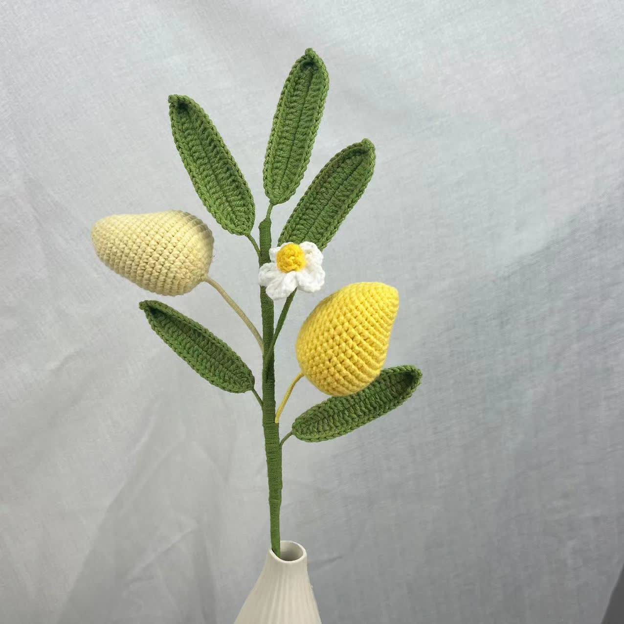 Bouquet de fruits créatif fait main au crochet et tricoté