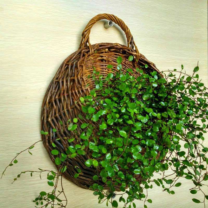 Panier à plantes tissé à la main Ownkoti avec poignée (3 pièces)